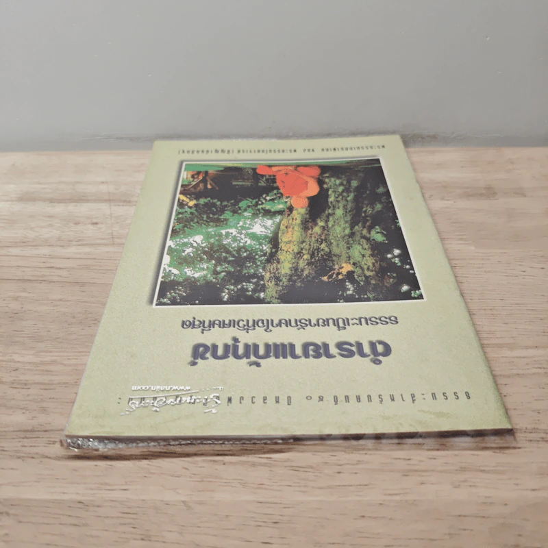 ตำรายาแก้ทุกข์ - พระธรรมโกศาจารย์ รูปที่ 4