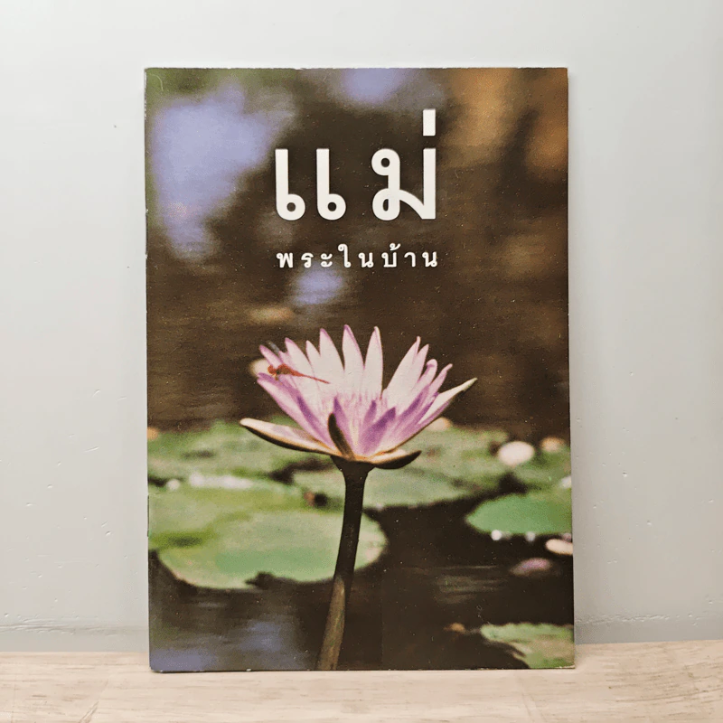 แม่พระในบ้าน รูปที่ 1
