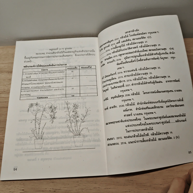 กล้วยไม้สกุลหวาย - บรรณ บูรณะชนบท รูปที่ 9