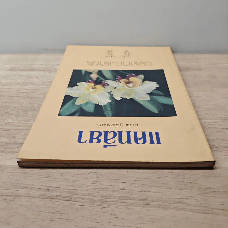 แคทลียา - บรรณ บูรณะชนบท รูปที่ 4