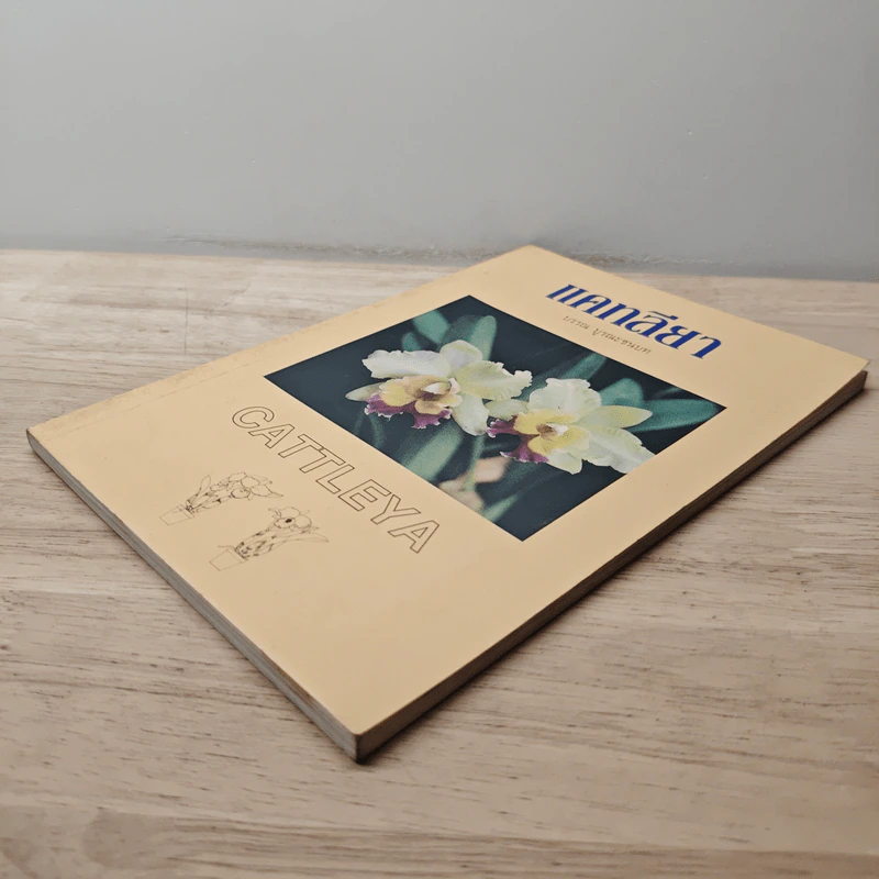 แคทลียา - บรรณ บูรณะชนบท รูปที่ 3