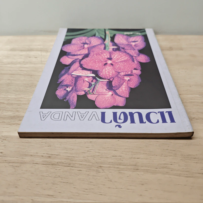 แวนด้า Vanda - ไชยา, ลาวัลย์ รูปที่ 4