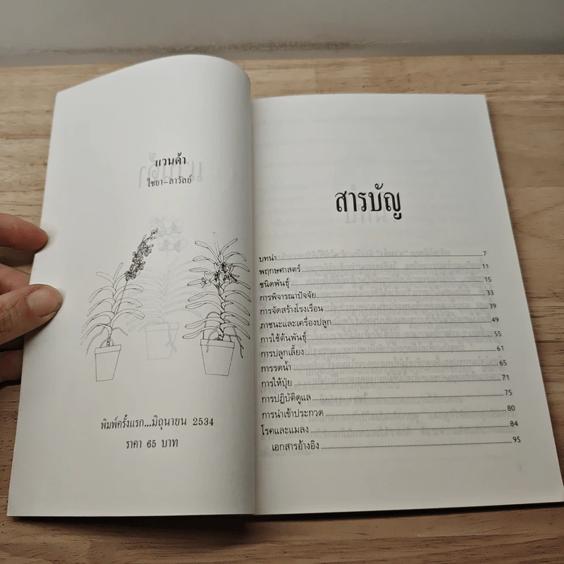 แวนด้า Vanda - ไชยา, ลาวัลย์ รูปที่ 6