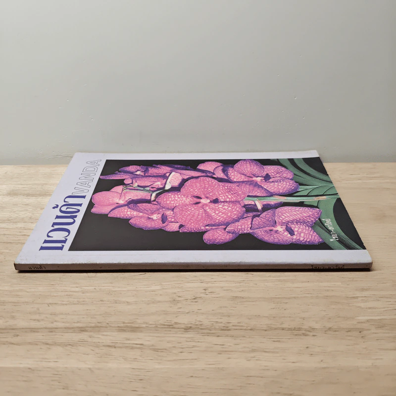 แวนด้า Vanda - ไชยา, ลาวัลย์ รูปที่ 2