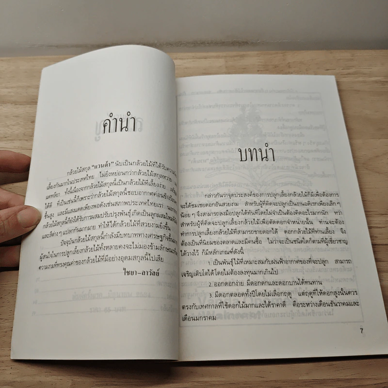 แวนด้า Vanda - ไชยา, ลาวัลย์ รูปที่ 7