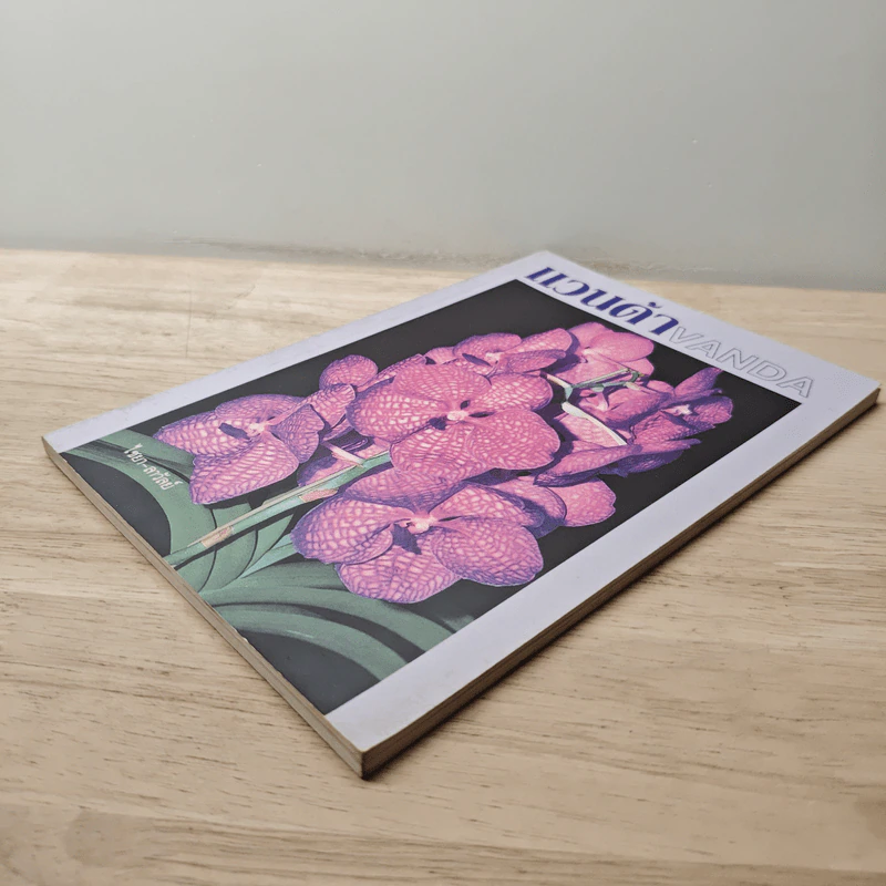 แวนด้า Vanda - ไชยา, ลาวัลย์ รูปที่ 3