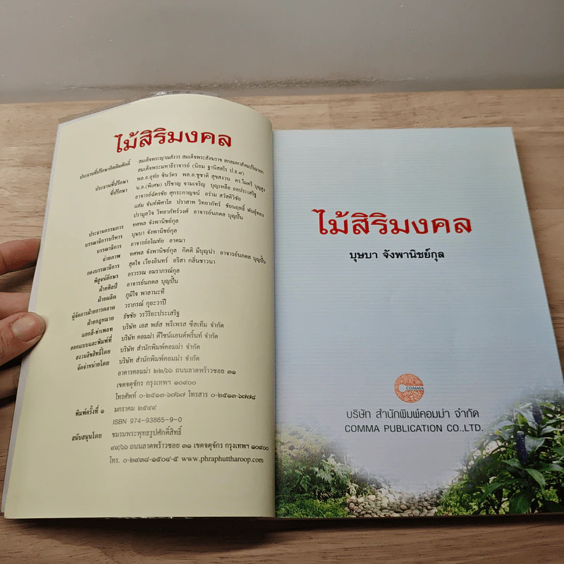 ไม้สิริมงคล ปลูกแล้วรวย โชคดี มั่งมีศรีสุข - บุษบา จังพานิชย์กล รูปที่ 5