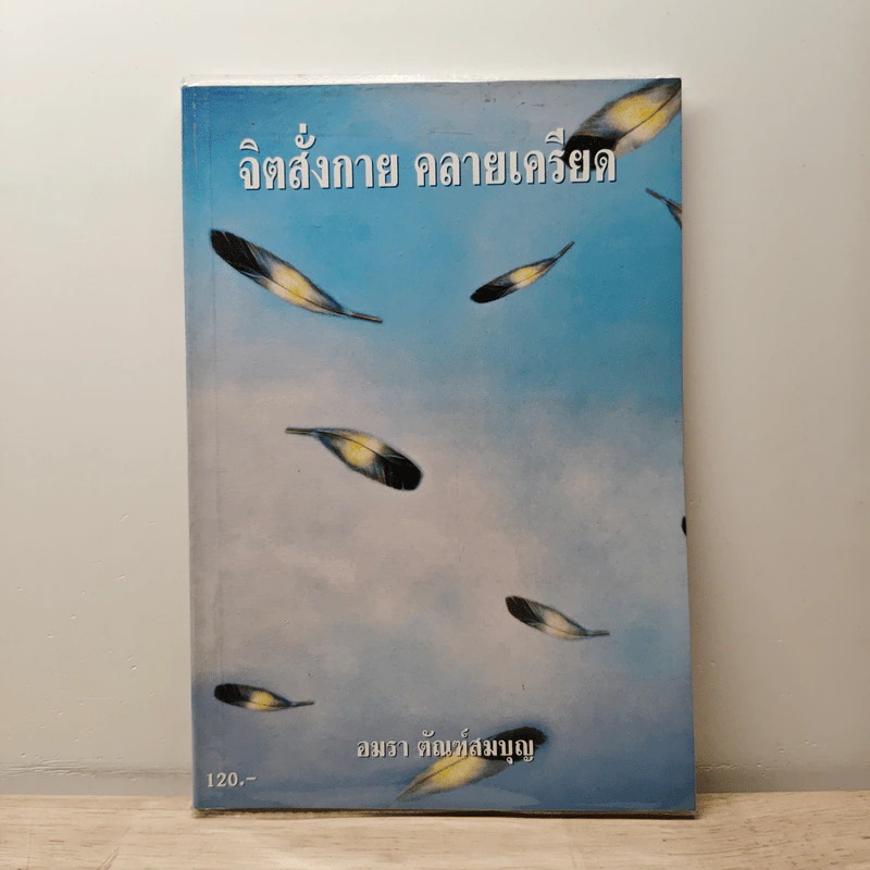 จิตสังกาย คลายเครียด - อมรา ตัณฑ์สมบุญ รูปที่ 1