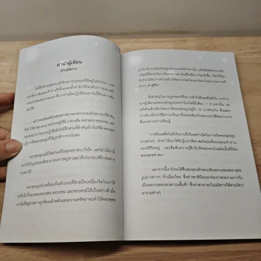 พุทธปฏิมา - สุทโธ รูปที่ 7