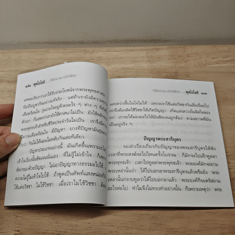 วิธีทำความราบรื่นให้ชีวิต - ปัญญานันทภิกขุ รูปที่ 7