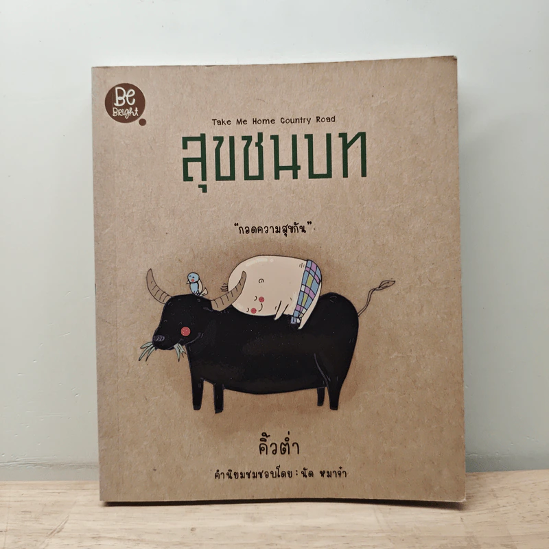 สุขชนบท - คิ้วต่ำ รูปที่ 1