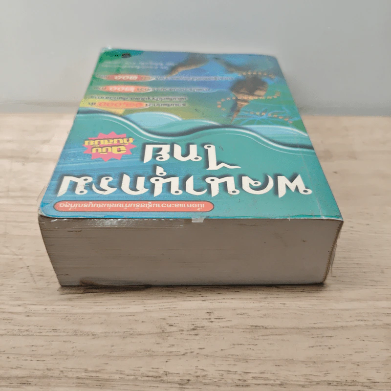 พจนานุกรมไทย ฉบับทันสมัย รูปที่ 4