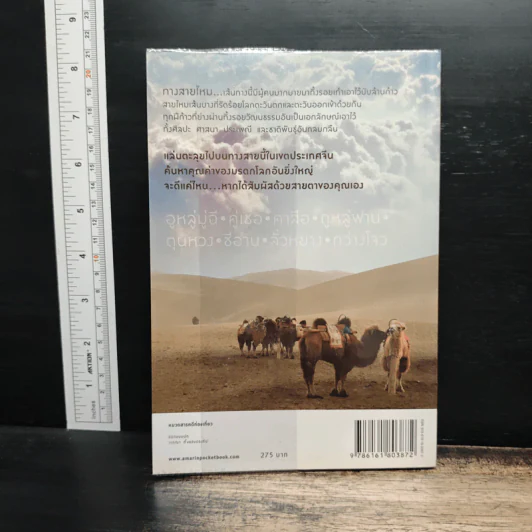The Silk Road ตะลุยเส้นทางสายไหม - วีระศักดิ์ เทียนธนะวัฒน์ รูปที่ 2