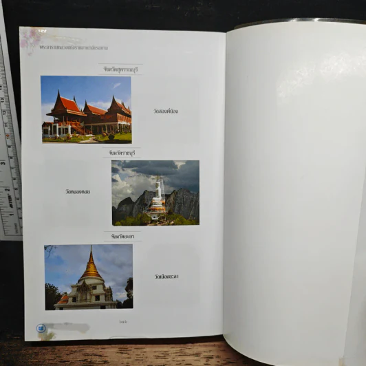 พระอารามหลวง แห่งราชอาณาจักรสยาม - ลำจุล ฮวบเจริญ รูปที่ 12