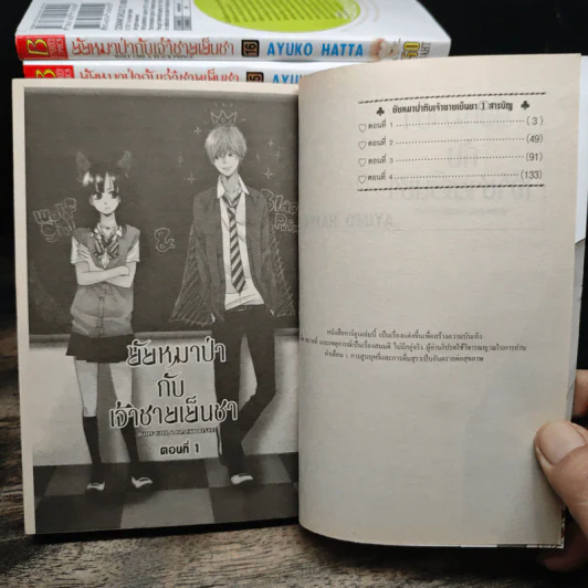 ยัยหมาป่ากับเจ้าชายเย็นชา 16 เล่มจบ - Ayuko Hatta รูปที่ 6