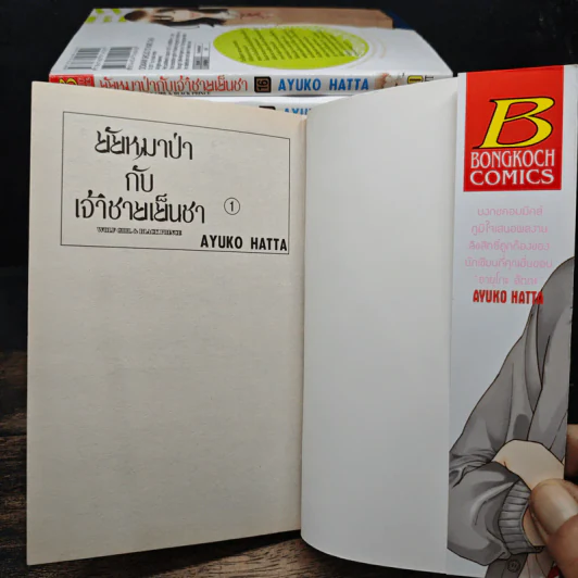 ยัยหมาป่ากับเจ้าชายเย็นชา 16 เล่มจบ - Ayuko Hatta รูปที่ 5