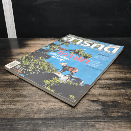 สารคดี ปีที่ 24 ฉบับที่ 281 ก.ค.2551 รูปที่ 4