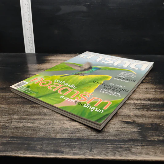 สารคดี ปีที่ 23 ฉบับที่ 270 ส.ค.2550 รูปที่ 4