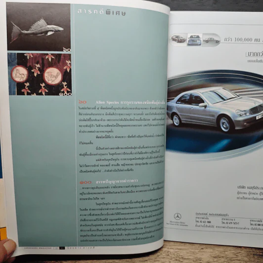 สารคดี ฉบับที่ 203 ปีที่ 17 ม.ค.2545 รูปที่ 8