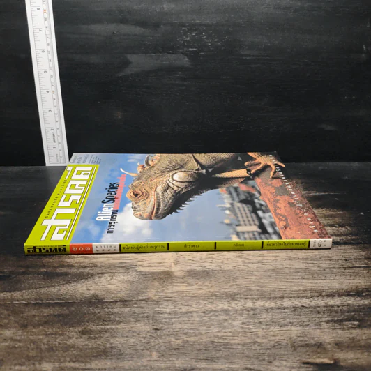 สารคดี ฉบับที่ 203 ปีที่ 17 ม.ค.2545 รูปที่ 3
