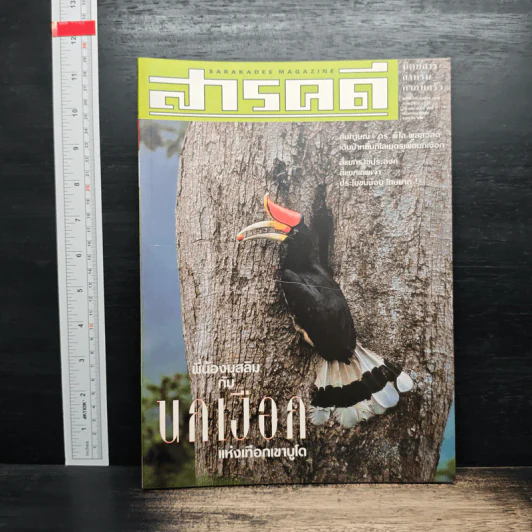 สารคดี ปีที่ 17 ฉบับที่ 195 พ.ค.2544 รูปที่ 1