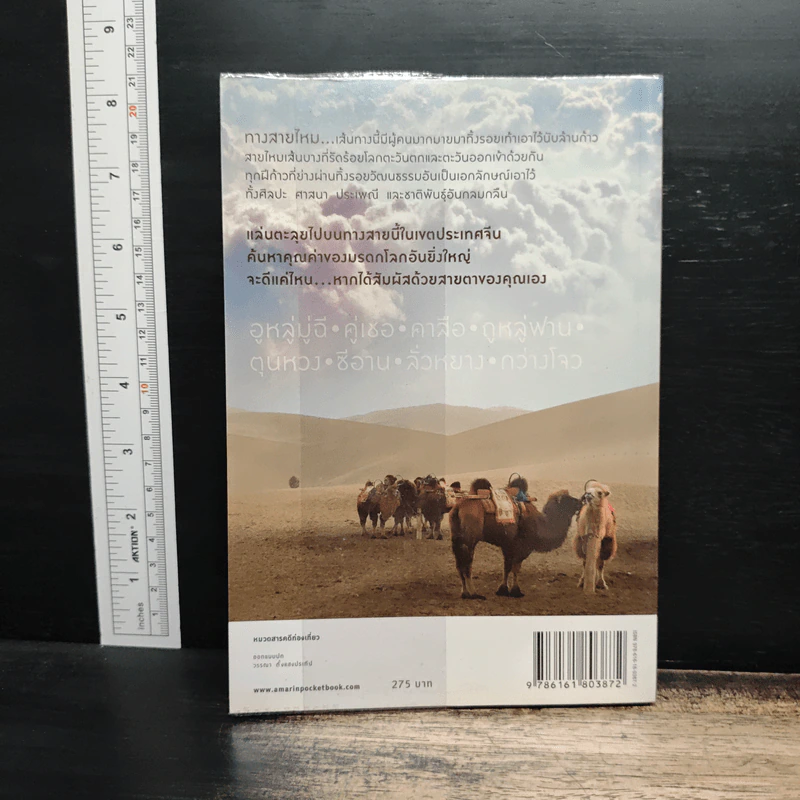 The Silk Road ตะลุยเส้นทางสายไหม - วีระศักดิ์ เทียนธนะวัฒน์ รูปที่ 2
