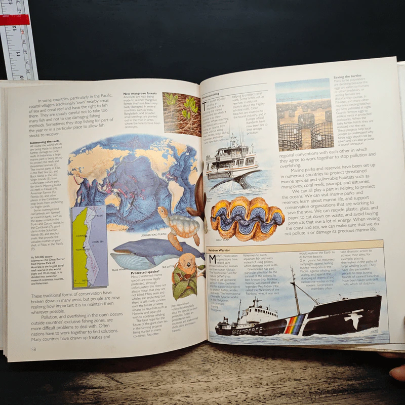 The Oceans Atlas - Susan Wells รูปที่ 9
