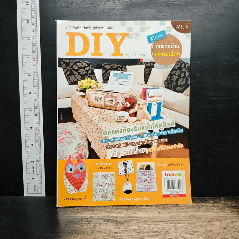 หนังสือ DIY ตกแต่งบ้านและคอนโดฯ เล่มที่ 10 รูปที่ 1