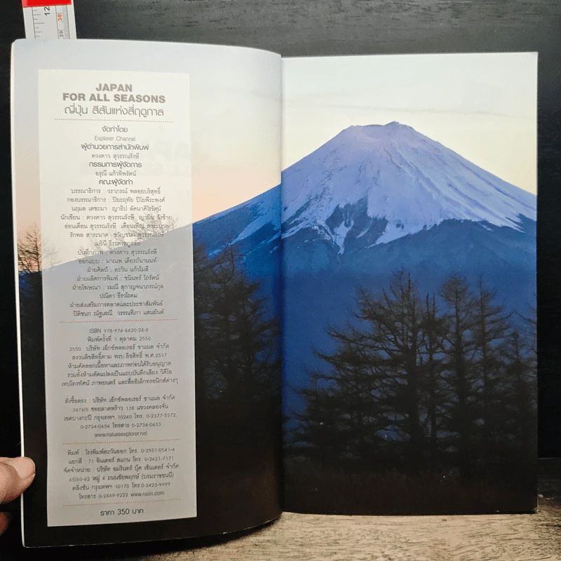 Japan for All Seasons ญี่ปุ่น สีสันแห่งสี่ฤดูกาล รูปที่ 6