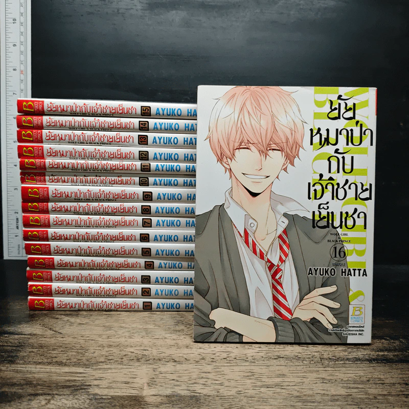 ยัยหมาป่ากับเจ้าชายเย็นชา 16 เล่มจบ - Ayuko Hatta รูปที่ 1