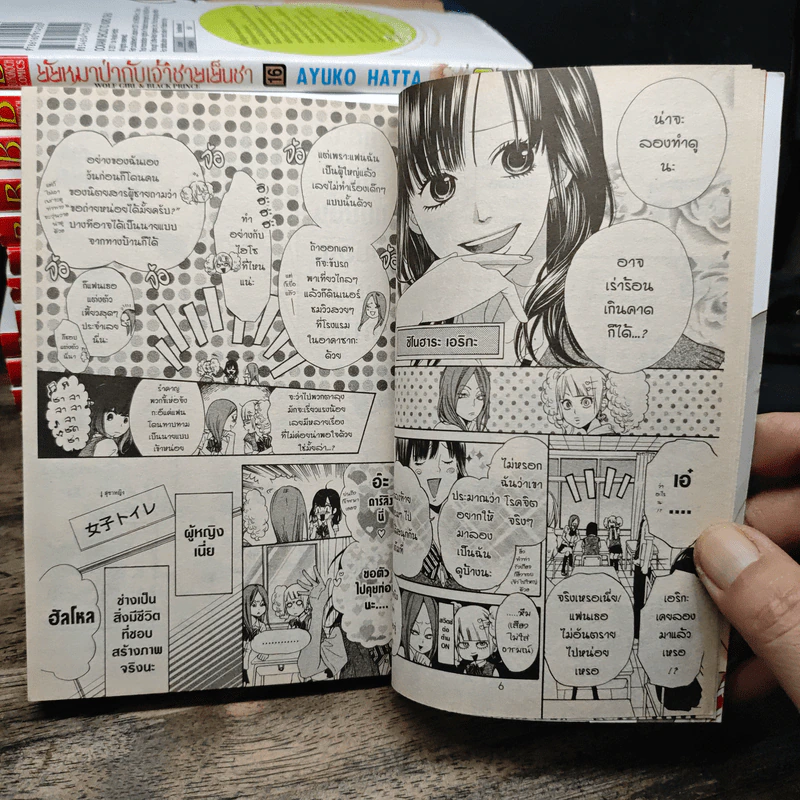 ยัยหมาป่ากับเจ้าชายเย็นชา 16 เล่มจบ - Ayuko Hatta รูปที่ 8