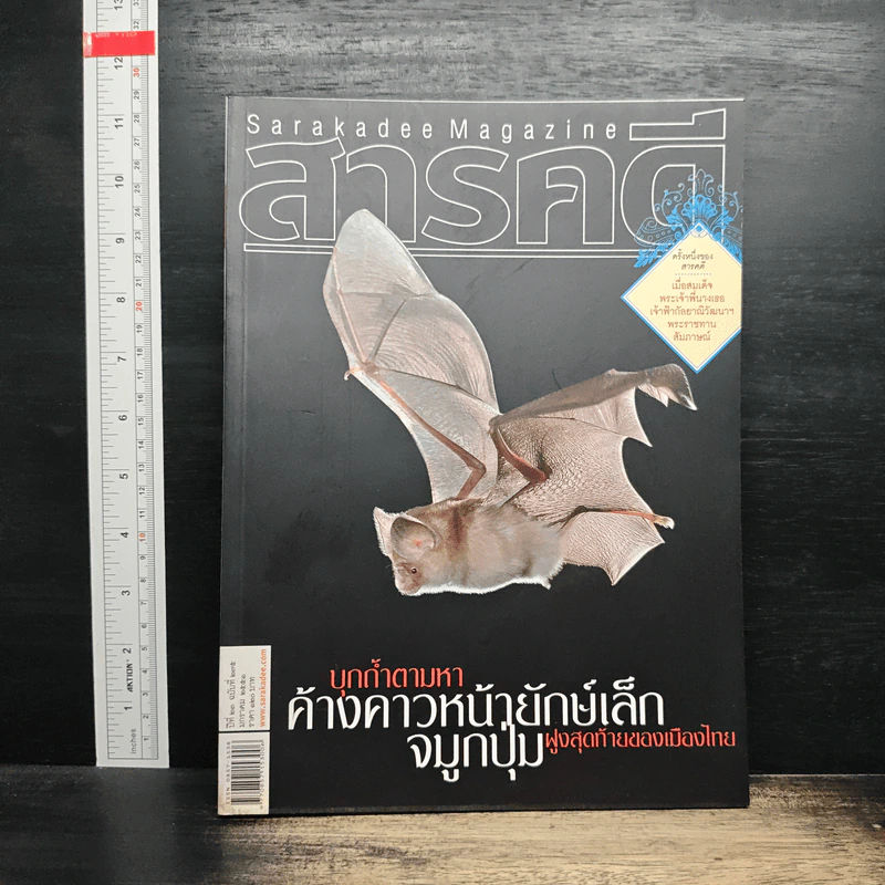 สารคดี ปีที่ 23 ฉบับที่ 275 ม.ค.2551 รูปที่ 1