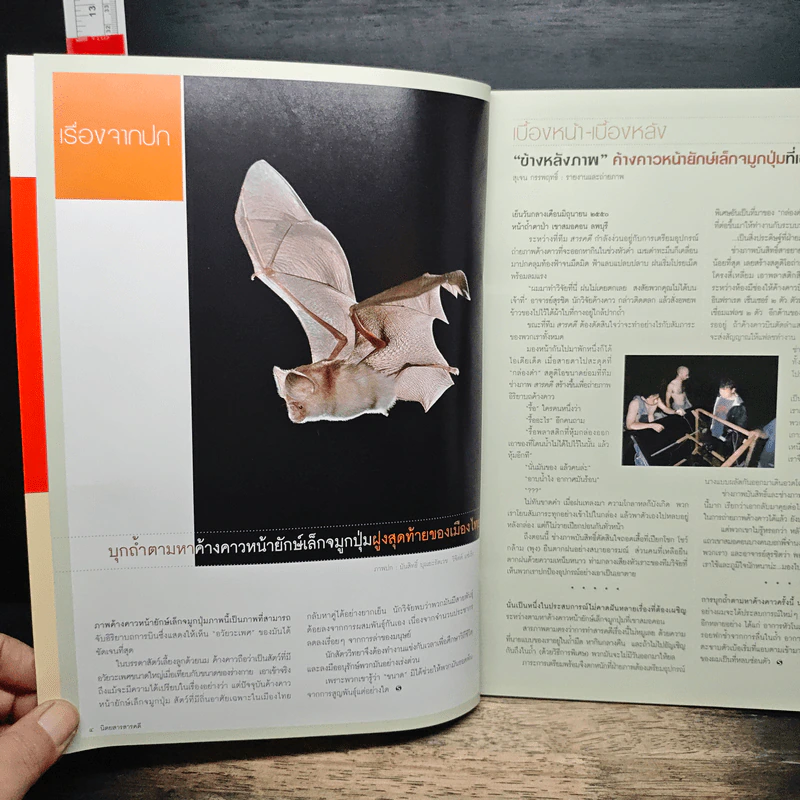 สารคดี ปีที่ 23 ฉบับที่ 275 ม.ค.2551 รูปที่ 6
