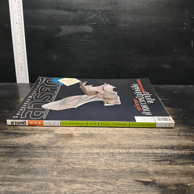 สารคดี ปีที่ 23 ฉบับที่ 275 ม.ค.2551 รูปที่ 3