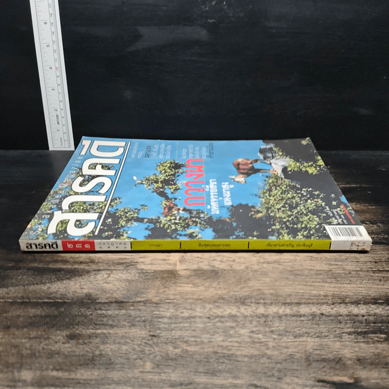 สารคดี ปีที่ 24 ฉบับที่ 281 ก.ค.2551 รูปที่ 3