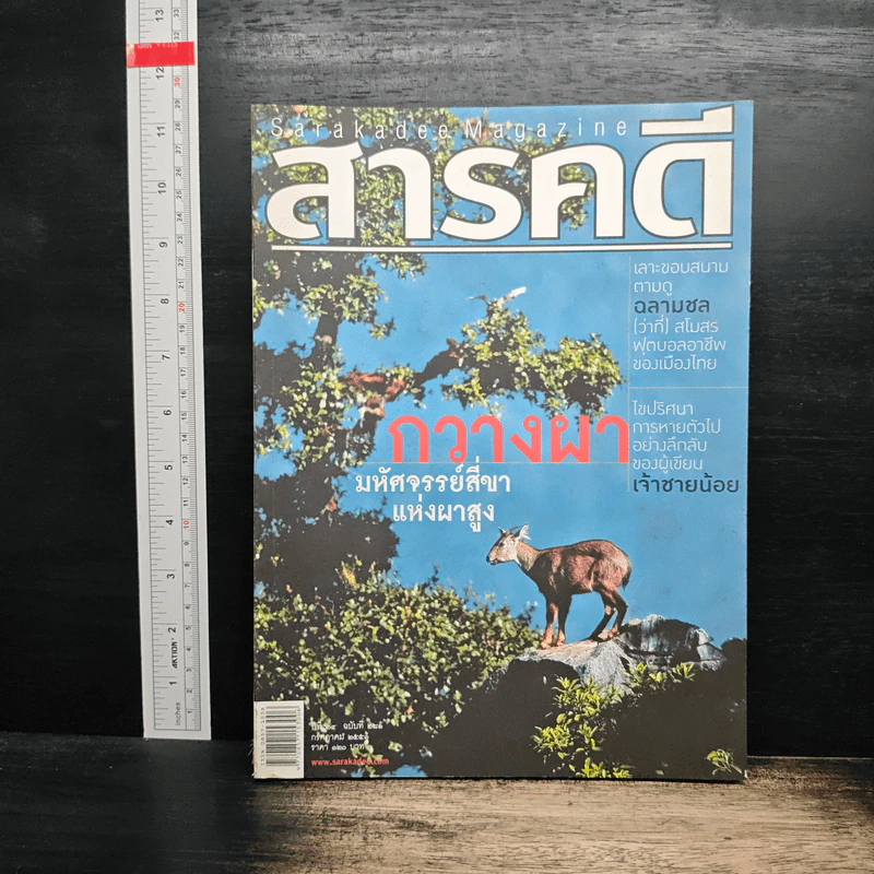สารคดี ปีที่ 24 ฉบับที่ 281 ก.ค.2551 รูปที่ 1