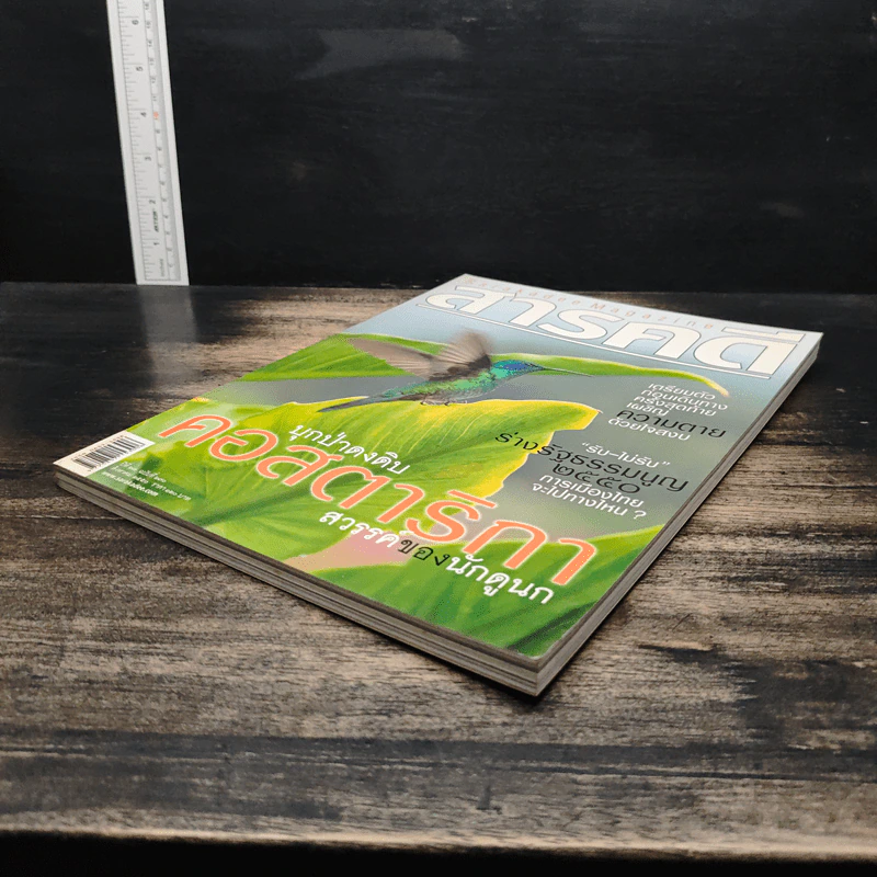 สารคดี ปีที่ 23 ฉบับที่ 270 ส.ค.2550 รูปที่ 4