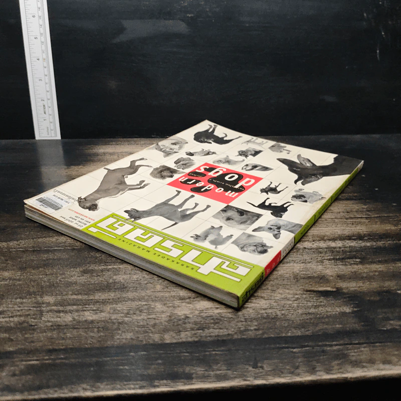 สารคดี ปีที่ 18 ฉบับที่ 214 ธ.ค.2545 รูปที่ 5