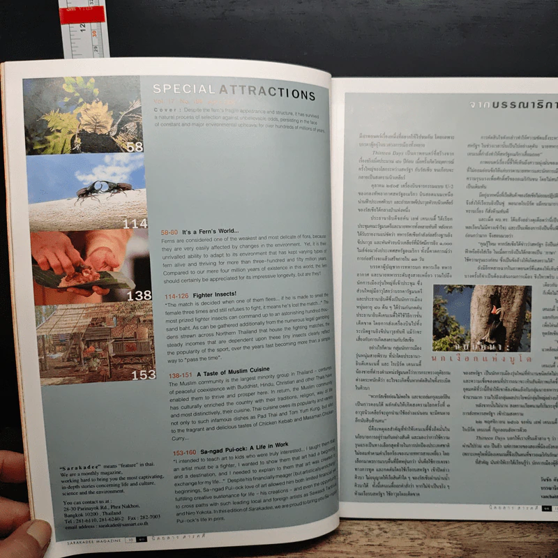 สารคดี ปีที่ 17 ฉบับที่ 194 เมษายน 2544 เฟิน รูปที่ 9