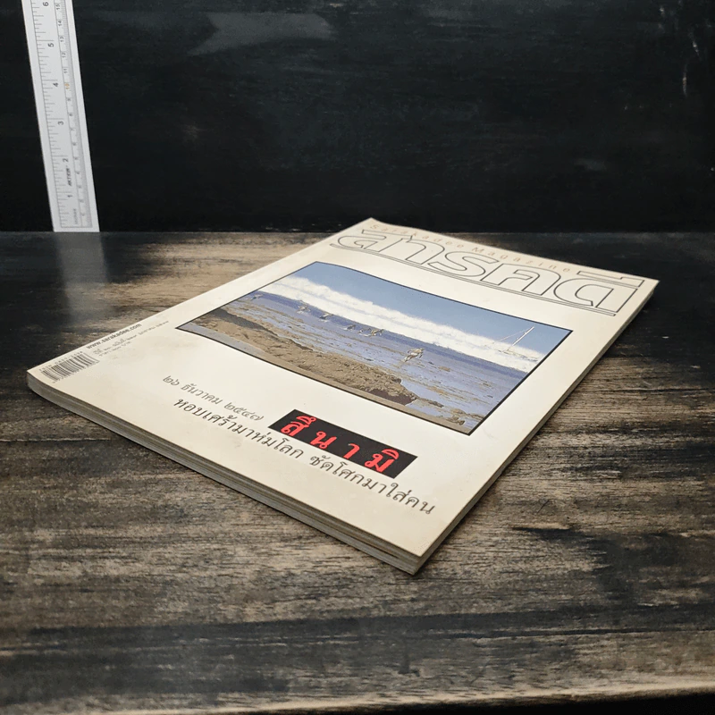 สารคดี ฉบับที่ 239 ปีที่ 20 มกราคม 2548 สึนามิ รูปที่ 4