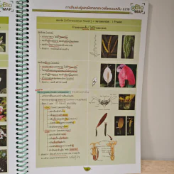 2219 การสืบพันธุ์ของพืชดอกและวงเวียนสลับ รูปที่ 8