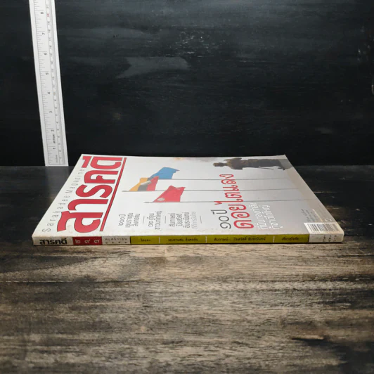 สารคดี ฉบับที่ 297 ปีที่ 25 พฤศจิกายน 2552 รูปที่ 3
