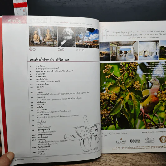 สารคดี ฉบับที่ 292 ปีที่ 25 มิถุนายน 2552 ครอบครัวบัวผุด รูปที่ 8
