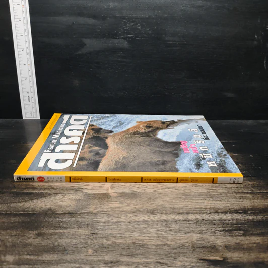 Feature Magazine สารคดี ปีที่ 16 ฉบับที่ 191 ม.ค.2544 รูปที่ 3