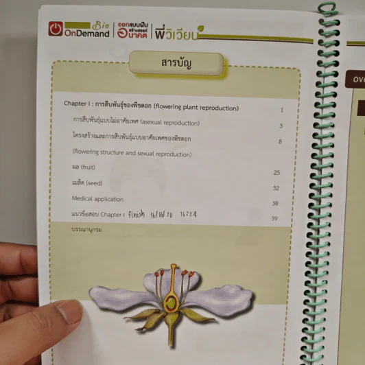 2219 การสืบพันธุ์ของพืชดอกและวงเวียนสลับ รูปที่ 6