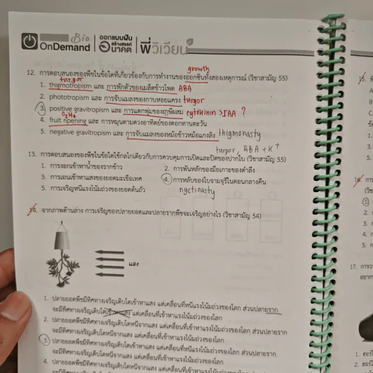 2220 การตอบสนองของพืชและฮอร์โมนพืช รูปที่ 7