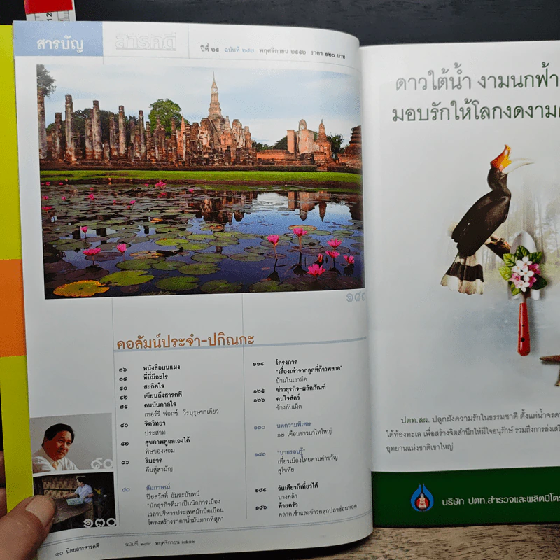 สารคดี ฉบับที่ 297 ปีที่ 25 พฤศจิกายน 2552 รูปที่ 8