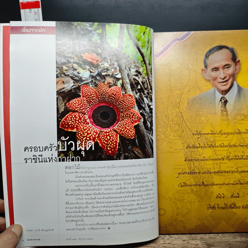 สารคดี ฉบับที่ 292 ปีที่ 25 มิถุนายน 2552 ครอบครัวบัวผุด รูปที่ 6