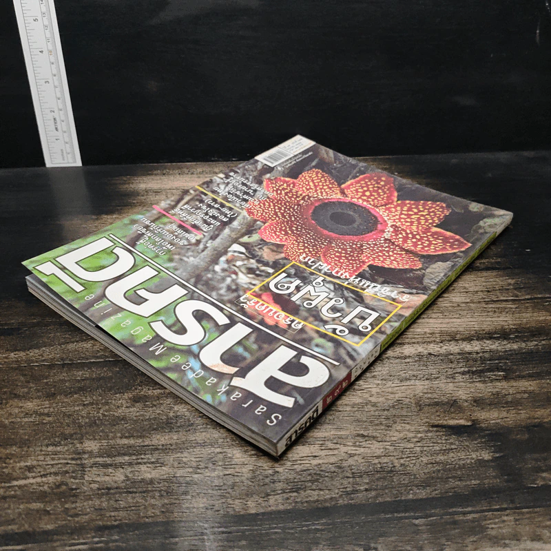 สารคดี ฉบับที่ 292 ปีที่ 25 มิถุนายน 2552 ครอบครัวบัวผุด รูปที่ 5