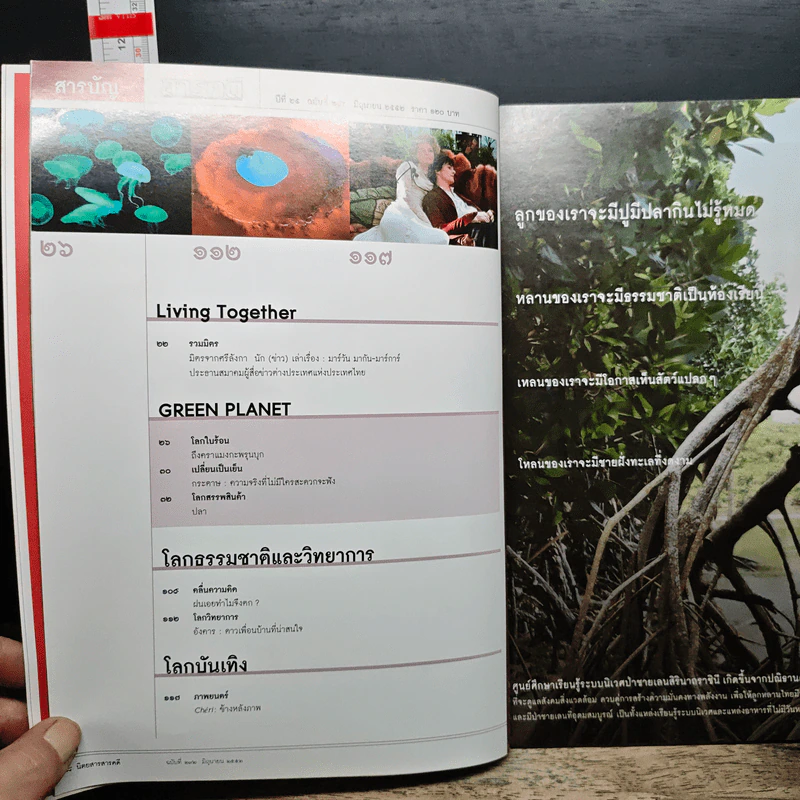 สารคดี ฉบับที่ 292 ปีที่ 25 มิถุนายน 2552 ครอบครัวบัวผุด รูปที่ 7